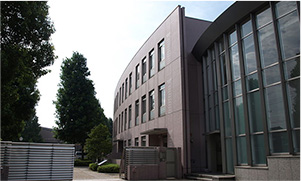 早稲田・慶應系列高